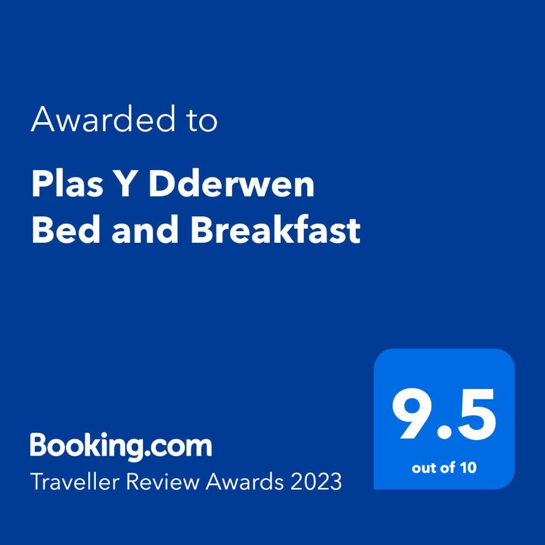 Plas Y Dderwen Bed And Breakfast Аберистуит Экстерьер фото